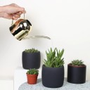 Watering Can H973 6