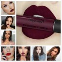Waterproof Matte Lipstick 12