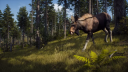 Way of the Hunter Steam CD -avain 7