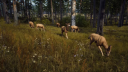 Way of the Hunter Steam CD Sleutel 5