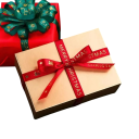 Weihnachtsband 1 cm x 5 m Polyesterband mit Druck Verschiedene Farben für Geschenkverpackungen, Weihnachtsdekorationen, Torten, Blumensträuße und kreative DIY-Projekte 2