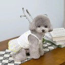 White Dress for Small Dogs with Floral Pattern Size M 2.5–3 kg 38 cm Chest 30 cm Length Elegant Summer Outfit for Dogs 3