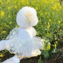 White Dress for Small Dogs with Floral Pattern Size S 1.5–2 kg 34 cm Chest 25 cm Length Elegant Summer Outfit for Dogs 2