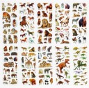 Wild Animal Stickers - 200 pcs 3