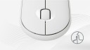 Wireless Flat Oval Mouse Connection via 2.4 GHz USB Receiver or Bluetooth Resolution 1000 DPI Three Buttons Powered by AA Battery 8