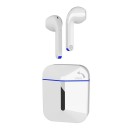 Wireless In-Ear Headphones with Microphone Bluetooth 5.1 Voice Assistant Support 10 m Range 300 mAh Charging Case 105 dB Sensitivity 1