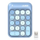 Wireless Numeric Keypad for Laptop and Computer USB Receiver 2.4 GHz Round Keys in Retro Style Powered by AAA Battery 12.9 x 8.9 x 2.8 cm 2