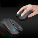 Wireless Rechargeable Mouse for Computer and Laptop Resolution up to 3600 DPI 750 mAh Battery Backlighting USB Receiver and USB-C Adapter Range 10 m 6