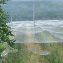 Wit nylon vogelnet 5 x 20 m Maaswijdte 5 x 5 cm Beschermnet voor tuinbomen struiken bloemperken gewassen boomgaarden wijngaarden pergola balkon 2