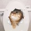 Wodoodporna naklejka 3D w łazience - pies i kot 2