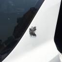 Wolf Car Sticker 5