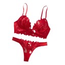 Women's Lingerie Set with V-Cut Bra Between Cups and Embroidered Flowers and Thong with Floral Embroidery and Mesh Sides 5