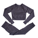 Women's Sports Set Leggings and Long Sleeve Top Plain Fitness Set Made of Nylon, Polyester and Spandex 1