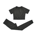 Women's Sports Set Leggings and Short Sleeve T-Shirt Plain Fitness Set Made of Nylon, Polyester and Spandex 1