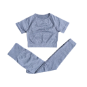 Women's Sports Set Leggings and Short Sleeve T-Shirt Plain Fitness Set Made of Nylon, Polyester and Spandex 4