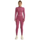 Women's Sports Set Long Sleeve Top and Leggings Zip Solid Colour Fitness Set Made of Polyester and Spandex 14