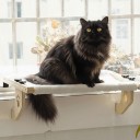 Wooden Cat Bed for Window Sill and Bed Frame 50 x 38 cm Soft Plush Cover Adjustable Holders White Cat Lounger 7