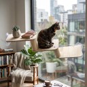 Wooden Cat Steps for Windows Three-Step Rungs 30 cm With Suction Cups No Drilling Solid Wood Climbing Path for Glass and Smooth Walls 2