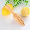 Wooden Citrus Press 3