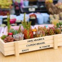 Wooden Decorative Planter 3 pcs 2