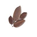 Wooden Tray in the Shape of a Leaf 9