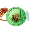 Worm Feeder for Reptiles 4