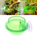 Worm Feeder for Reptiles 5