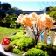 Záhradné dekorácie - Zápich mini muchotrávka - 50 kusov 5