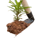Zappa da giardino forgiata in acciaio 15,5 x 6 x 9,5 cm nera strumento per diserbo, scavo del terreno e piantagione di verdure e fiori 2
