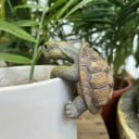 Závesná dekorácia korytnačky 7 x 4,4 cm Živicový ornament visící korytnačky Ozdoba na okraj kvetináča alebo akvária Mini dekorácia záhrady a interiéru 3