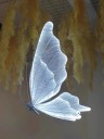 Závěsný motýlí LED luster s krajkovými krídlami rozpätím 120 cm, kov a čipka, zabudovaná LED svadobná dekorácia do hotelovej haly a sálu 5