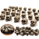 Zestaw 20 sztuk mini czaszek 1 x 1,8 cm Żywica Dekoracja do dioramy cmentarz katakumby kostnica scenariusz horrorowy 13