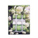 Zestaw 6 olejków eterycznych 3 ml Rozpuszczalny w wodzie olejek do dyfuzora Aromaterapia Odświeżacz powietrza Relaks Naturalny zapach 3