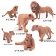Zestaw zwierząt z rodziny lwów 6 szt 2