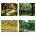 Žlutá oboustranná lepící páska proti hmyzu 10 cm x 2 m rolovaná lepová páska pro ochranu stromů a rostlin 3