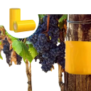 Žlutá oboustranná lepící páska proti hmyzu 10 cm x 2 m rolovaná lepová páska pro ochranu stromů a rostlin 5