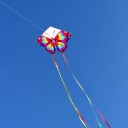 Zmeu colorat în formă de fluture 79 x 56 cm Zmeu pentru copii din poliester cu sfoară de 30m Jucărie de exterior pentru distracție și mișcare activă 2