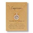 Zodiac Sign Necklace D131 19