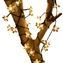 Zonne-lichtslinger 5 m 20 LED Kersenbloesems Waterdichte buitendecoratie voor bruiloften tuinen feesten kerstversiering in verschillende 6
