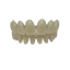 Zubná protéza 1
