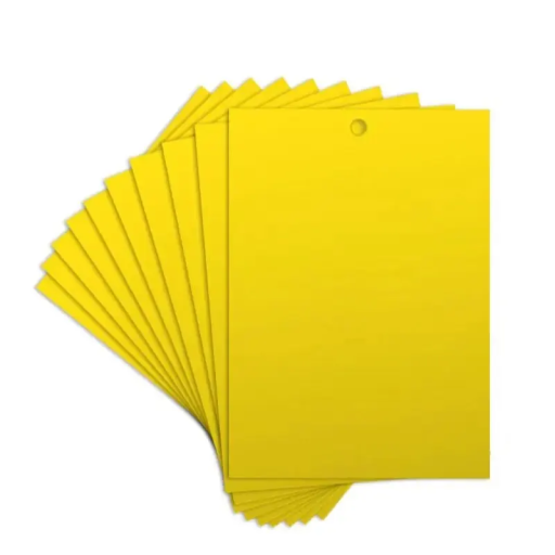 10 Pack Double-Sided Insect Sticky Traps 20 x 15 cm Sticky Sheets Against Flies, Mosquitoes and Moths Non-Toxic Home and Garden Protection