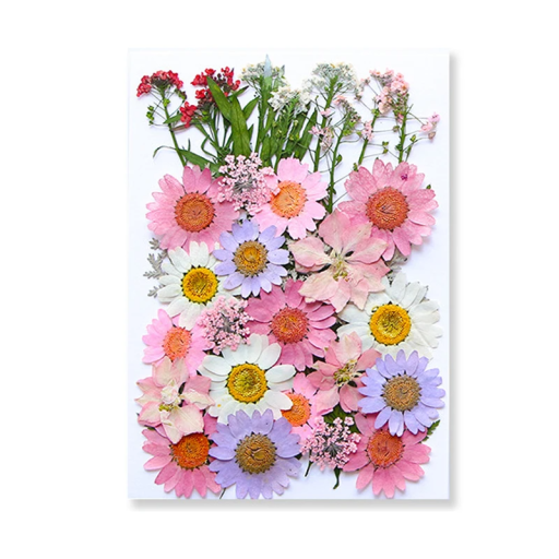 Pressade rosa, lila och vita blommor i harts Rektangulär form Dekorativa torkade växter Kreativ skapelse För smycken
