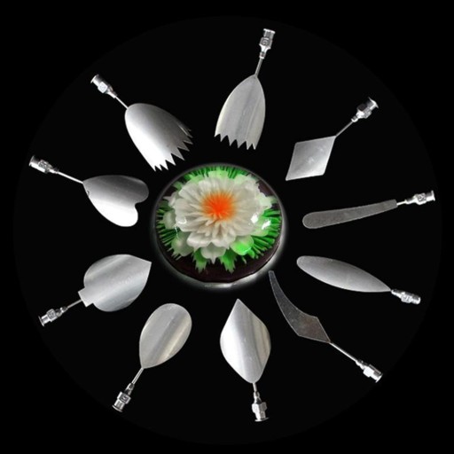 11 pcs Ensemble de moules pour la fabrication de fleurs en gélatine