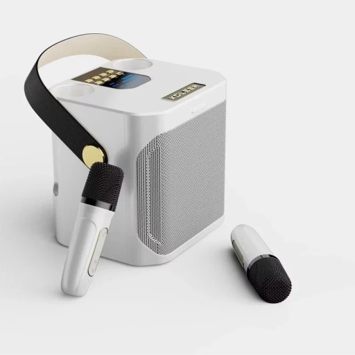 Karaoke-set Bluetooth högtalare 16,8 x 13,9 x 17,1 cm 100 W 360° stereo vattentålig med 2 trådlösa mikrofoner