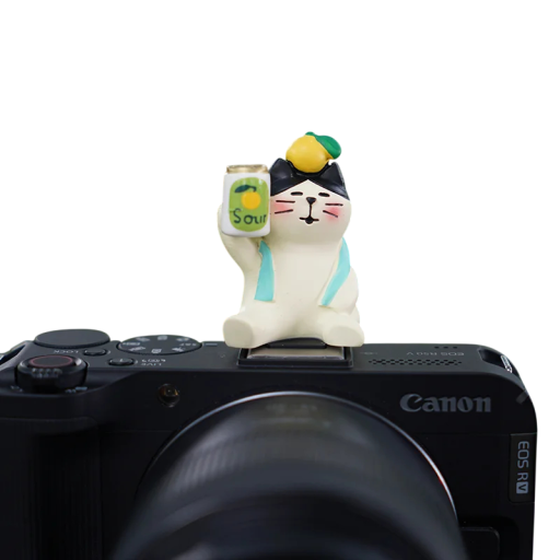 Blixkåpa för kamera med motiv av sittande katt med citron för Sony Nikon Canon Fuji Fujifilm Pentax Leica Olympus universellt skydd