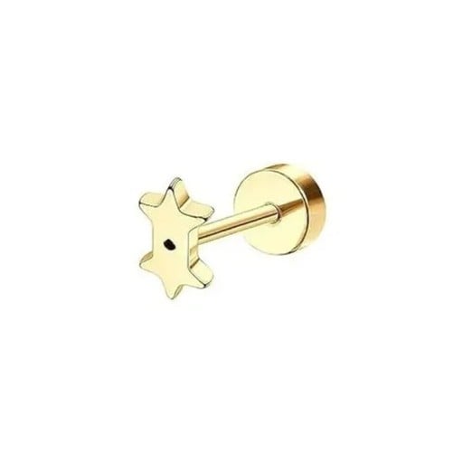 Guldpiercing 2 stjärnor ovanpå varandra 6 x 5 x 0,8 mm Kirurgisk stål Fin minimalistisk piercing med dubbel motiv