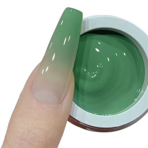 Nagellack för ombréövergångar med svampapplikator och luftkudde UV LED utan tvättning hög mättnad salong