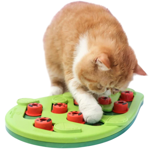 Pussel dispenser för kattgodis 36 x 24 cm Blad med glidande plattor Interaktivt matspel för träning