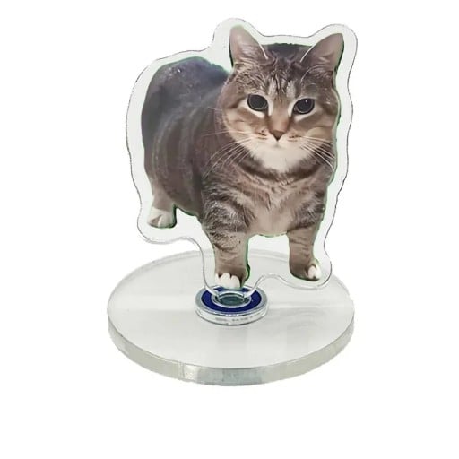 Mini kattdekoration 5 cm Rotationsbas 360° Marmoriserad katt Oiiai för bord, hylla eller instrumentbräda Skyddande folie