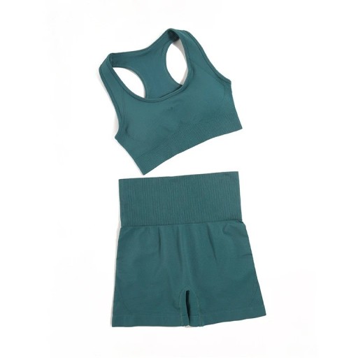 Damsportset Shorts och sportbh Enfärgad sommar fitness set i nylon